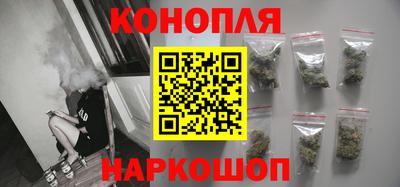 СК Кингисепп