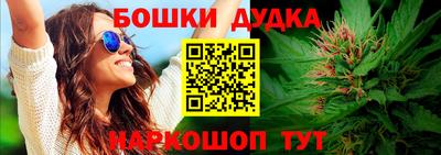 СК Кингисепп