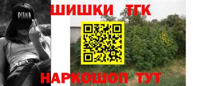 СК Кингисепп
