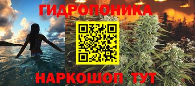 ALPHA PVP Кимры