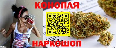 СК Кингисепп
