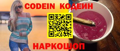 СК Кингисепп