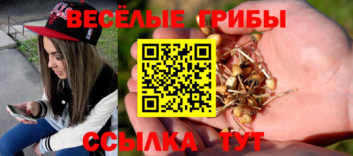 Псилоцибиновые грибы Magic Shrooms Комсомольск-на-Амуре